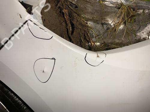 Front bumper DACIA LODGY (JS_) 1.5 dCi (JSMC, JSAF) | BP24051786C7 - Image 3