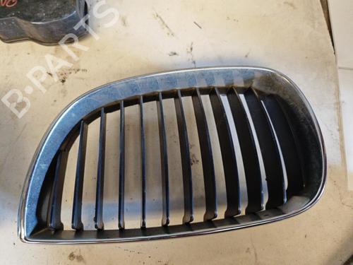 Used Grille BMW 1 (E87) 118 d (122 hp) 21863179
