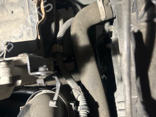 Water radiator FIAT PANDA (169_) 1.3 D Multijet (169.AXC1A) | BP38776767M31 - Image 2