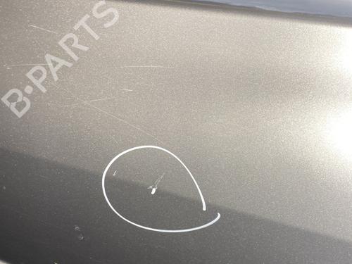 Left rear door RENAULT CLIO III (BR0/1, CR0/1) 1.5 dCi (C/BR0G, C/BR1G) | BP25275734C4 