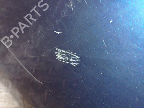 Used Left front door FIAT BRAVO II (198_) 1.9 D Multijet (198AXB1A) (120 hp) 20871629