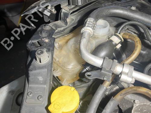 Expansion tank RENAULT MEGANE III Hatchback (BZ0/1_, B3_) 1.9 dCi (BZ0N, BZ0J) | BP32133808C120