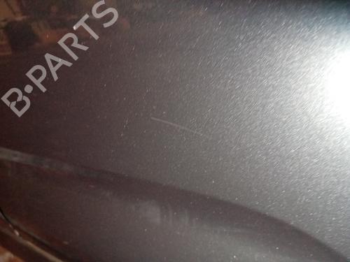 Left rear door CITROËN C3 II (SC_) 1.6 HDi | BP21865831C4 