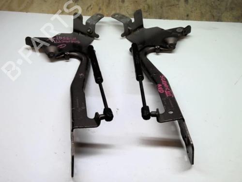 Used Hinge/Door check strap RENAULT SCÉNIC III (JZ0/1_) 1.5 dCi (110 hp) 21858574