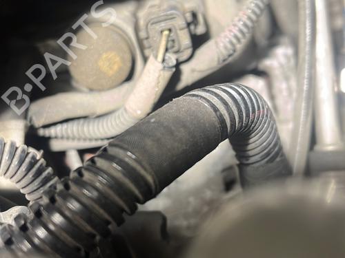 Used Alternator Alternator CITROËN C4 II (NC_) 1.6 HDi 115 (114 hp) 31114642 31114642