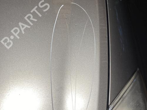 Hood RENAULT CLIO III (BR0/1, CR0/1) 1.5 dCi (C/BR0G, C/BR1G) | BP25275732C1 