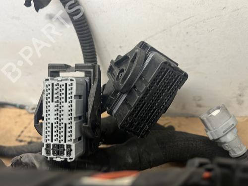 Used Wiring harness Wiring harness RENAULT MEGANE III Hatchback (BZ0/1_, B3_) 1.2 TCe (BZ2B, BZ11) (116 hp) 25037435 25037435