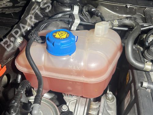 Used Expansion tank FIAT BRAVO II (198_) 1.6 D Multijet (198AXL1B) (120 hp) 29477996
