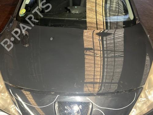 BP30105074C1 main image