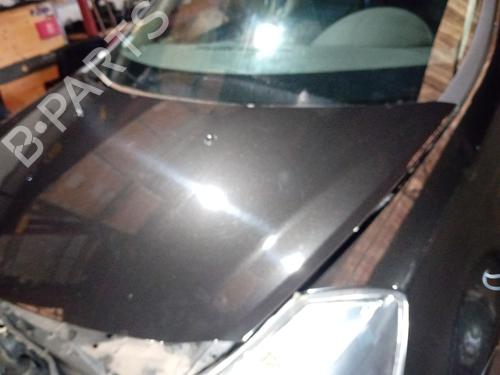 Hood RENAULT CLIO III (BR0/1, CR0/1) 1.5 dCi (BR17, CR17) | BP21063124C1 