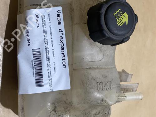 Used Expansion tank RENAULT MEGANE III Hatchback (BZ0/1_, B3_) 1.5 dCi (BZ0C) (90 hp) 21860761