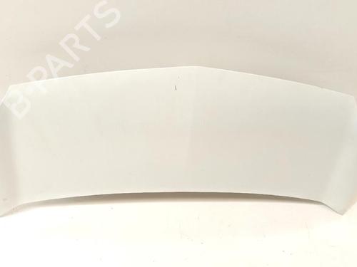 Panser Panser RENAULT KANGOO (KC0/1_) 1.5 dCi (57 hp) 21029026 21029026