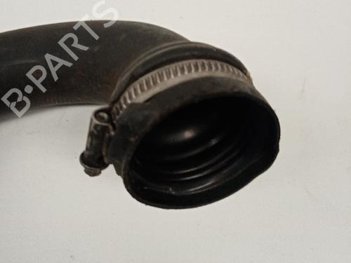  - Image 4