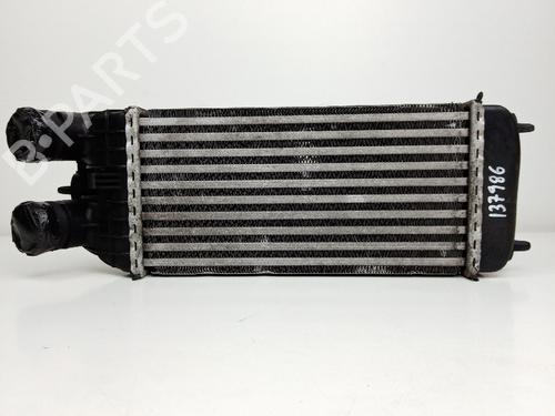 Used Intercooler Intercooler CITROËN C3 II (SC_) 1.6 HDi (92 hp) 21038324 21038324