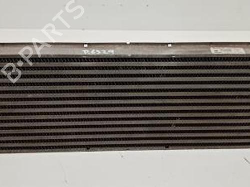 Used Intercooler Intercooler RENAULT MEGANE II (BM0/1_, CM0/1_) [2001-2012] 21038603 21038603