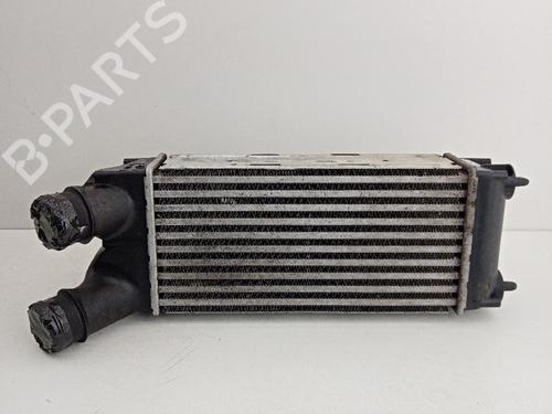 Used Intercooler Intercooler CITROËN BERLINGO MULTISPACE (B9) [2008-2026] 21038709 21038709
