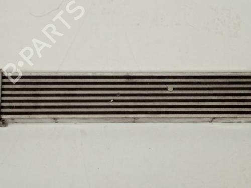 Used Intercooler Intercooler MERCEDES-BENZ E-CLASS (W211) E 320 CDI (211.026) (204 hp) 21039838 21039838