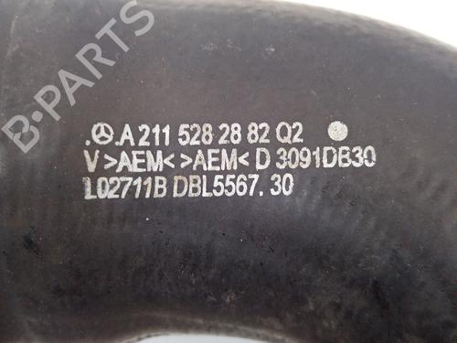  - Image 7