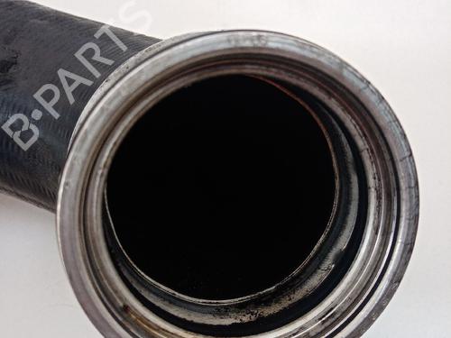  - Image 4