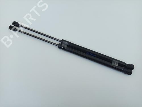 tailgate-lift-support-audi-a6-c6-avant-4f5-2004-2005-2006-2007-2008-2009-2010-2011-24298117 main image