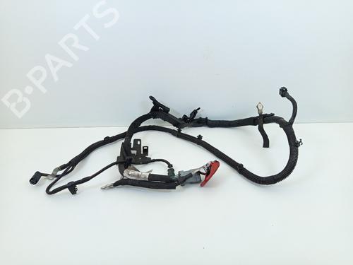 Used Wiring harness Wiring harness PEUGEOT 308 II (LB_, LP_, LW_, LH_, L3_) 1.6 BlueHDi 120 (120 hp) 24822126 24822126