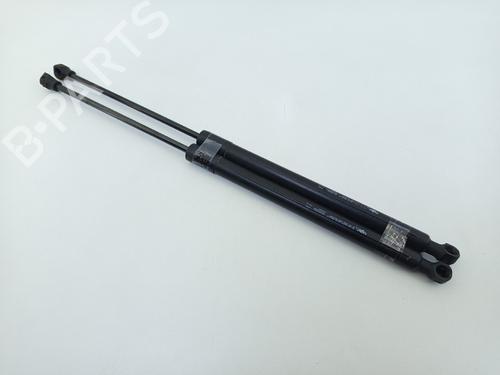 Used Tailgate lift support Tailgate lift support PEUGEOT 308 II (LB_, LP_, LW_, LH_, L3_) 1.6 BlueHDi 120 (120 hp) 25489166 25489166