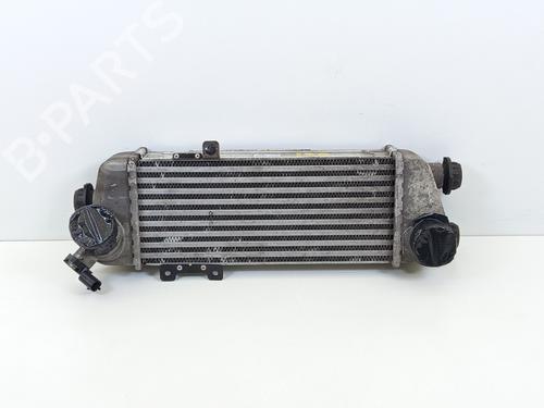 Used Intercooler Intercooler HYUNDAI i30 (FD) 1.6 CRDi (116 hp) 25868832 25868832