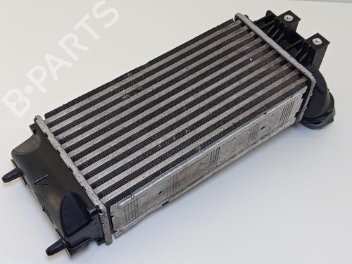 Intercooler CITROËN C4 II (NC_) 1.6 BlueHDi 100 | BP29219850M30  - Image 8