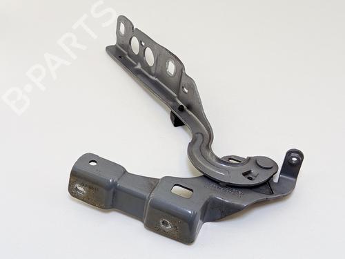 hingedoor-check-strap-citroen-c4-ii-nc_-2009-31253543 main image