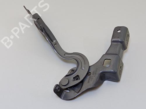 hingedoor-check-strap-citroen-c4-ii-nc_-2009-31253544 main image