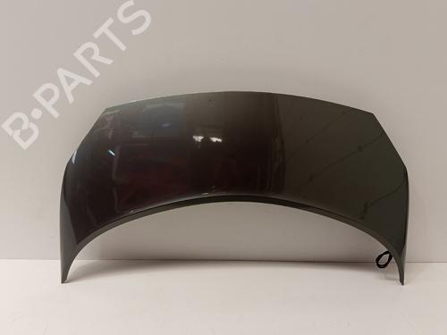 hood-renault-scenic-ii-jm01_-2003-2004-2005-2006-2007-2008-2009-2010-30441872 main image