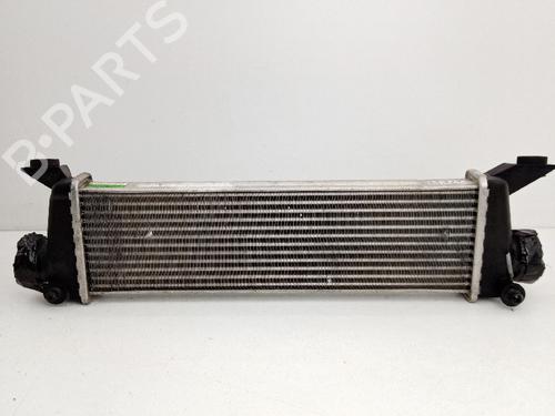 Used Intercooler Intercooler MERCEDES-BENZ A-CLASS (W168) A 170 CDI (168.008) (90 hp) 21038491 21038491