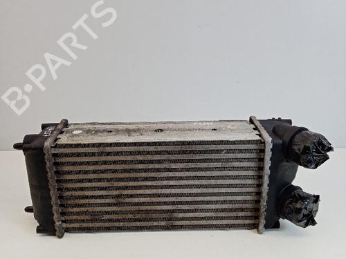 Used Intercooler Intercooler PEUGEOT 307 SW (3H) 1.6 HDI 110 (109 hp) 21036194 21036194