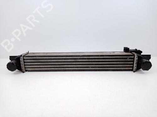 Used Intercooler Intercooler FIAT QUBO (225_) 1.3 D Multijet (225CXB1A, 225AXB1A, 225CXB11, 225AXB11,... (75 hp) 21041099 21041099