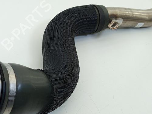  - Image 4