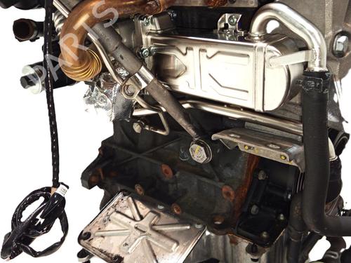 Engine SEAT IBIZA IV (6J5, 6P1) 1.2 TDI | BP23079529M1  - Image 7
