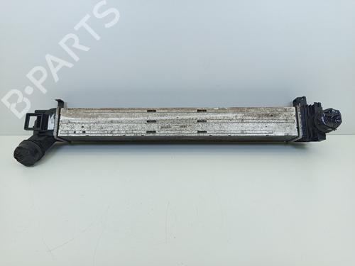 Used Intercooler Intercooler RENAULT MEGANE III Hatchback (BZ0/1_, B3_) 1.5 dCi (106 hp) 23899434 23899434