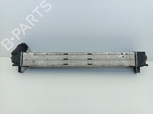 Intercooler RENAULT MEGANE III Hatchback (BZ0/1_, B3_) 1.5 dCi | BP23899434M30  - Image 5