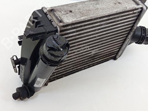 Intercooler DACIA SANDERO II 1.5 dCi | BP25881462M30  - Image 7