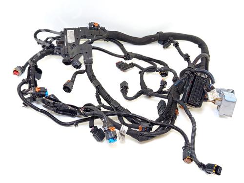 Used Wiring harness Wiring harness CITROËN C3 III (SX) 1.6 BlueHDi 100 (99 hp) 31253537 31253537