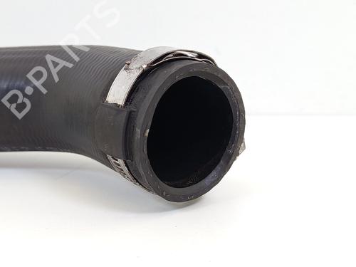  - Image 6