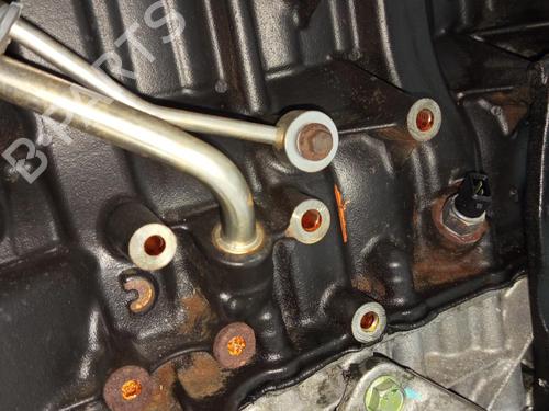 Engine RENAULT KOLEOS I (HY_) 2.0 dCi 4x4 (HY0K) | BP23418326M1  - Image 14