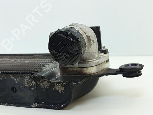 Intercooler RENAULT KOLEOS I (HY_) 2.0 dCi 4x4 (HY0K) | BP23418342M30 - Image 8