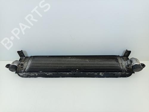Intercooler RENAULT KOLEOS I (HY_) 2.0 dCi 4x4 (HY0K) | BP23418342M30 - Image 9