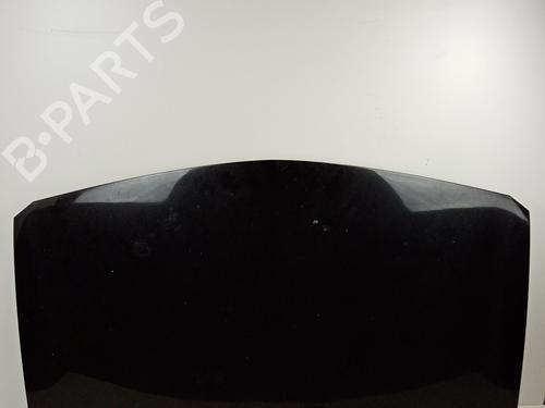 Used Hood RENAULT MEGANE II (BM0/1_, CM0/1_) 1.5 dCi (BM0F, BM0T, BM2B, CM0F, CM0T) (82 hp) 21029027