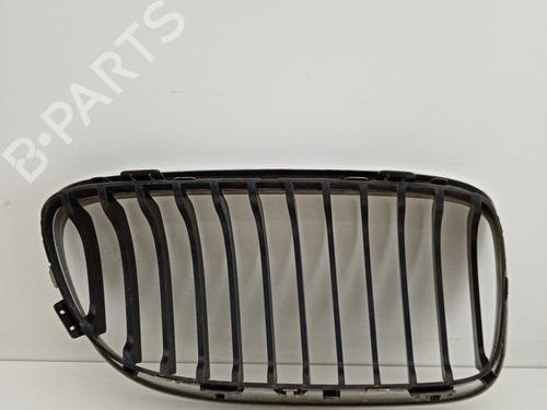 Grille BMW 3 (E90)  | BP21031785C40 