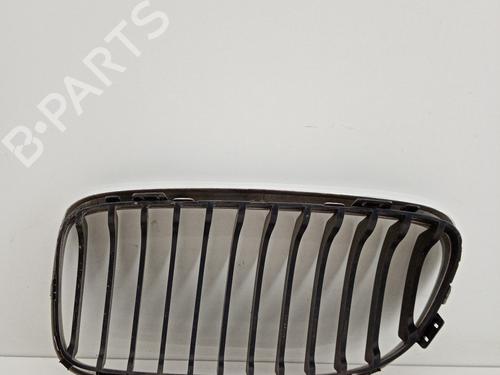 Grille BMW 3 (E90)  | BP21031784C40 