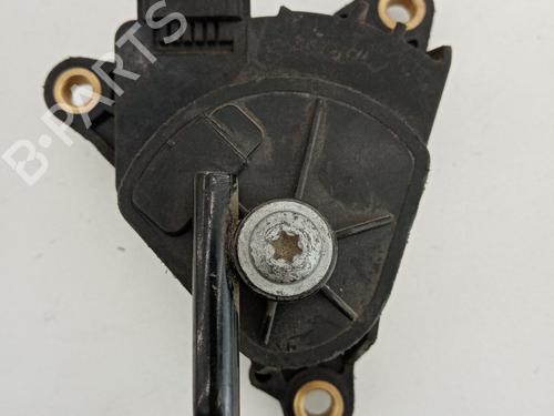 Pedal RENAULT CLIO III (BR0/1, CR0/1)  | BP21033436I4 