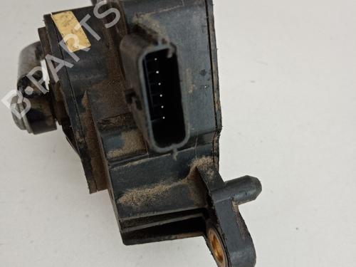 Pedal RENAULT CLIO III (BR0/1, CR0/1)  | BP21033436I4 