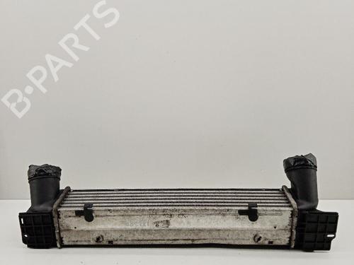 Intercooler BMW 1 (E87) 118 d | BP21035867M30 